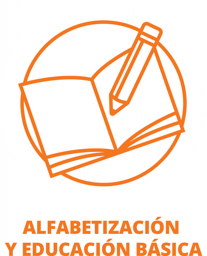 Alfabetización y educación básica